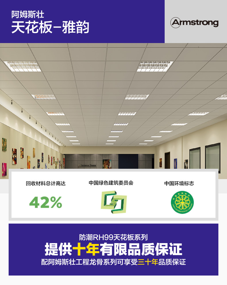 阿姆斯壮天花板-雅韵_01.jpg